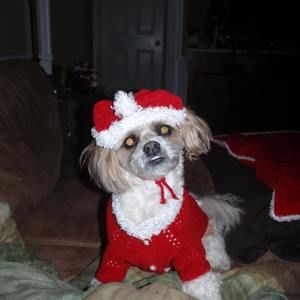 Meet your Posher, Dale